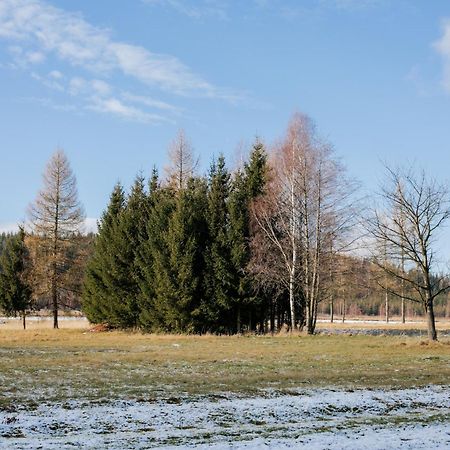 Alicjowka - Domek Marciszow Exterior foto
